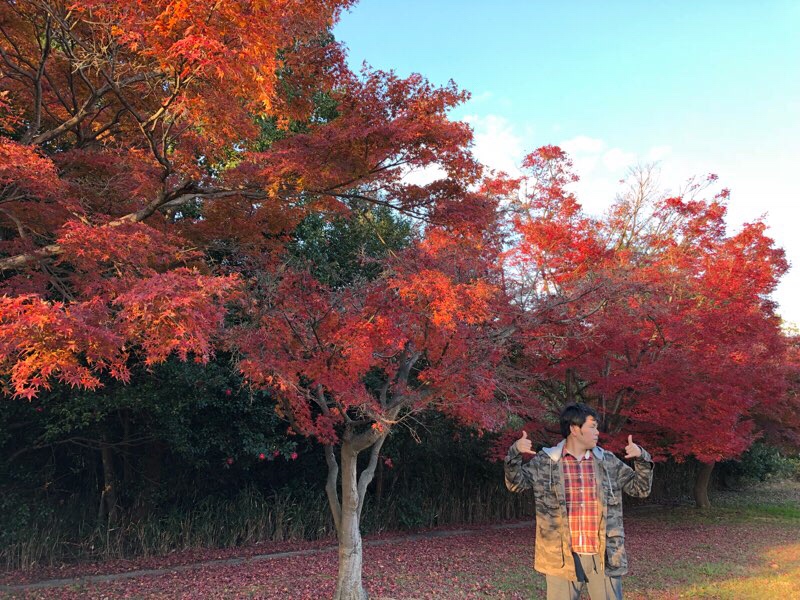 【三重県鈴鹿市】地元にも紅葉とウォーキングを楽しめる青少年の森っていうスポットがあった！